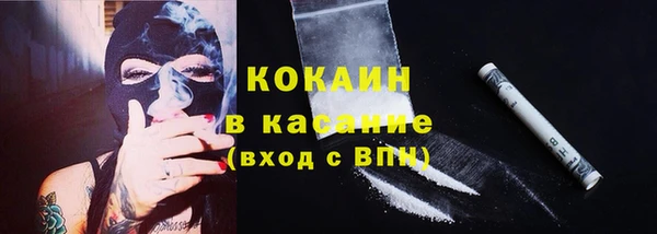 сатива Новодвинск