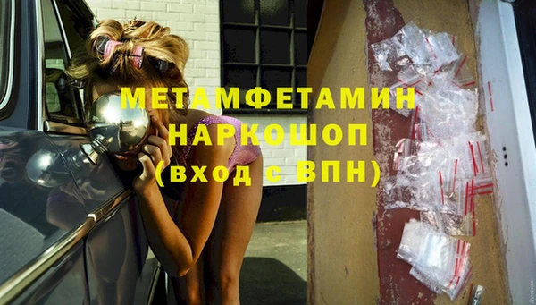 сатива Новодвинск