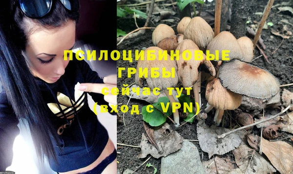 spice Новокубанск
