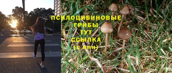 каннабис Новозыбков
