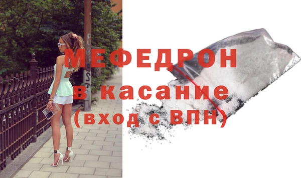 сатива Новодвинск