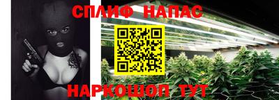 гидропоника Гусев