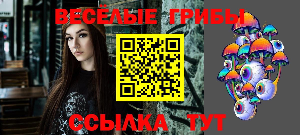 Карабулак  где продают   Псилоцибиновые грибы MAGIC MUSHROOMS  Вход с VPN  Псилоцибиновые грибы ЛСД 