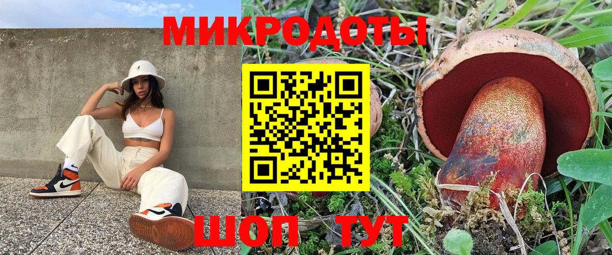 Галлюциногенные грибы мухоморы Карабулак